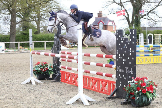 Meet the Team - An interview with showjumper, Millie Lawson - Eclat Equestrian Online