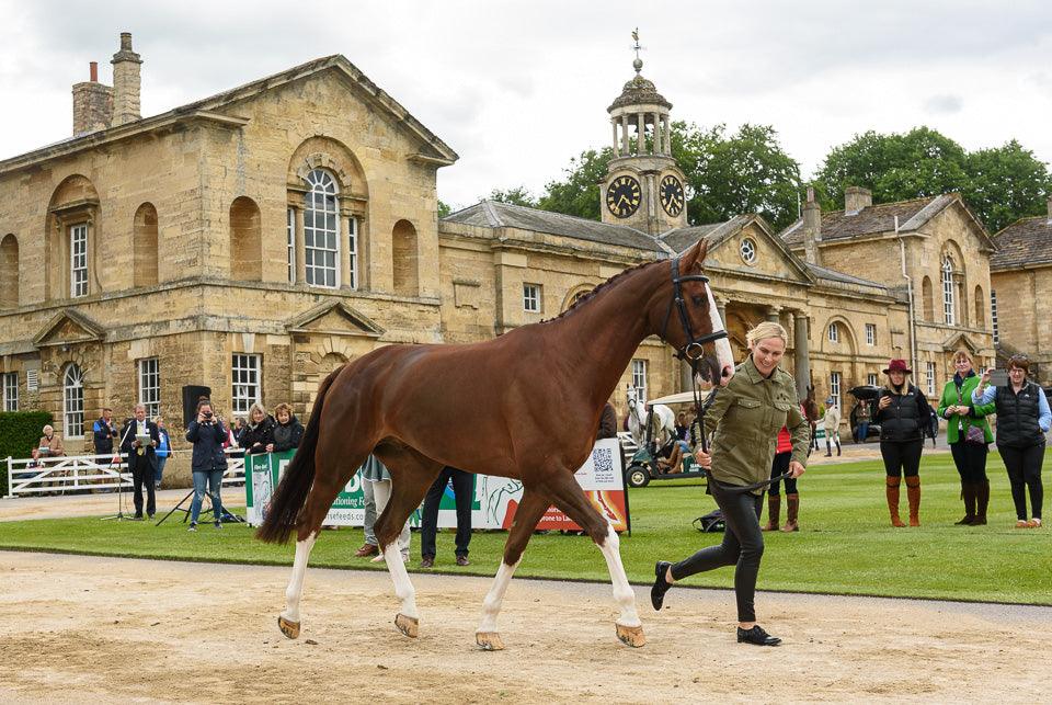 Monthly Roundup - May - Eclat Equestrian Online