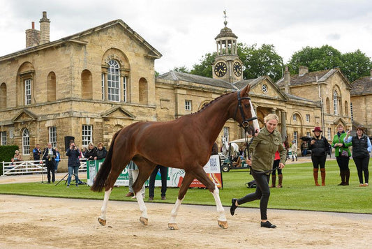 Monthly Roundup - May - Eclat Equestrian Online