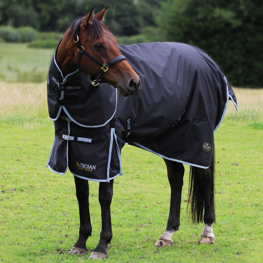 Trojan 300g Dual Turnout Rug and Neck Set