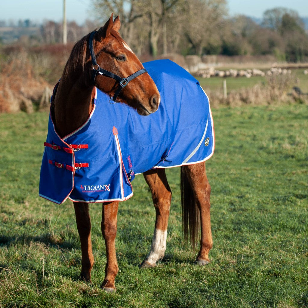 Trojan Xtra 200g Dual Turnout Rug and Neck Set