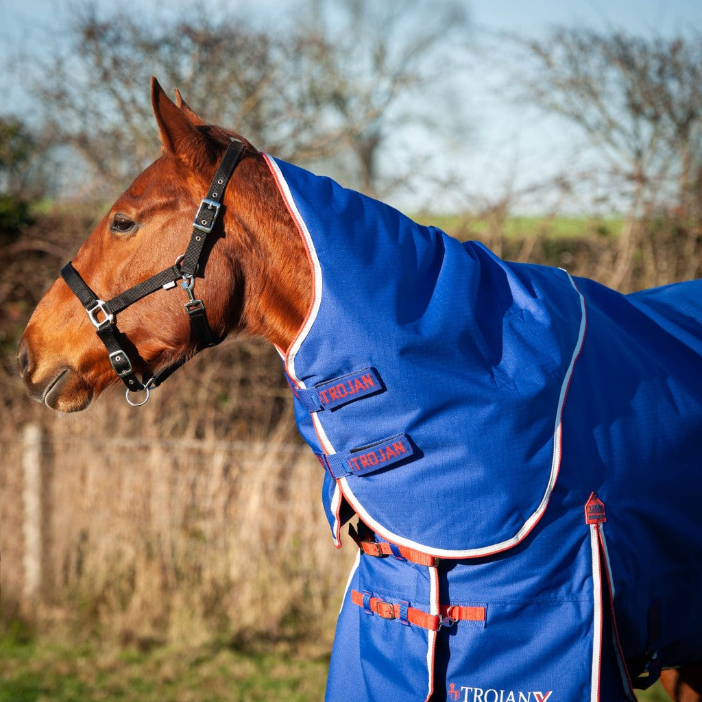 Trojan Xtra 200g Dual Turnout Rug and Neck Set