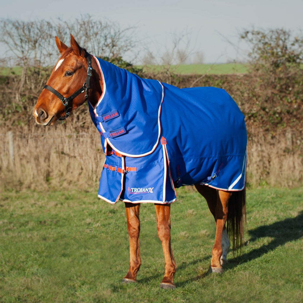 Trojan Xtra 200g Dual Turnout Rug and Neck Set