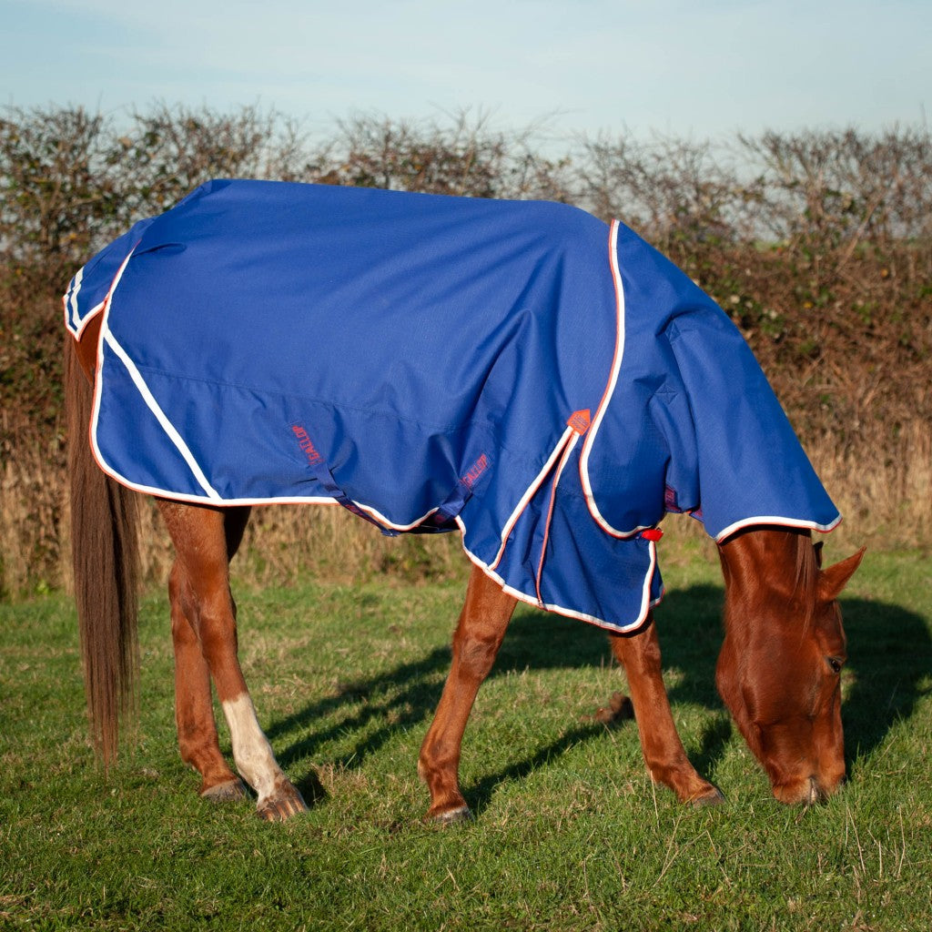 Trojan Xtra 200g Dual Turnout Rug and Neck Set