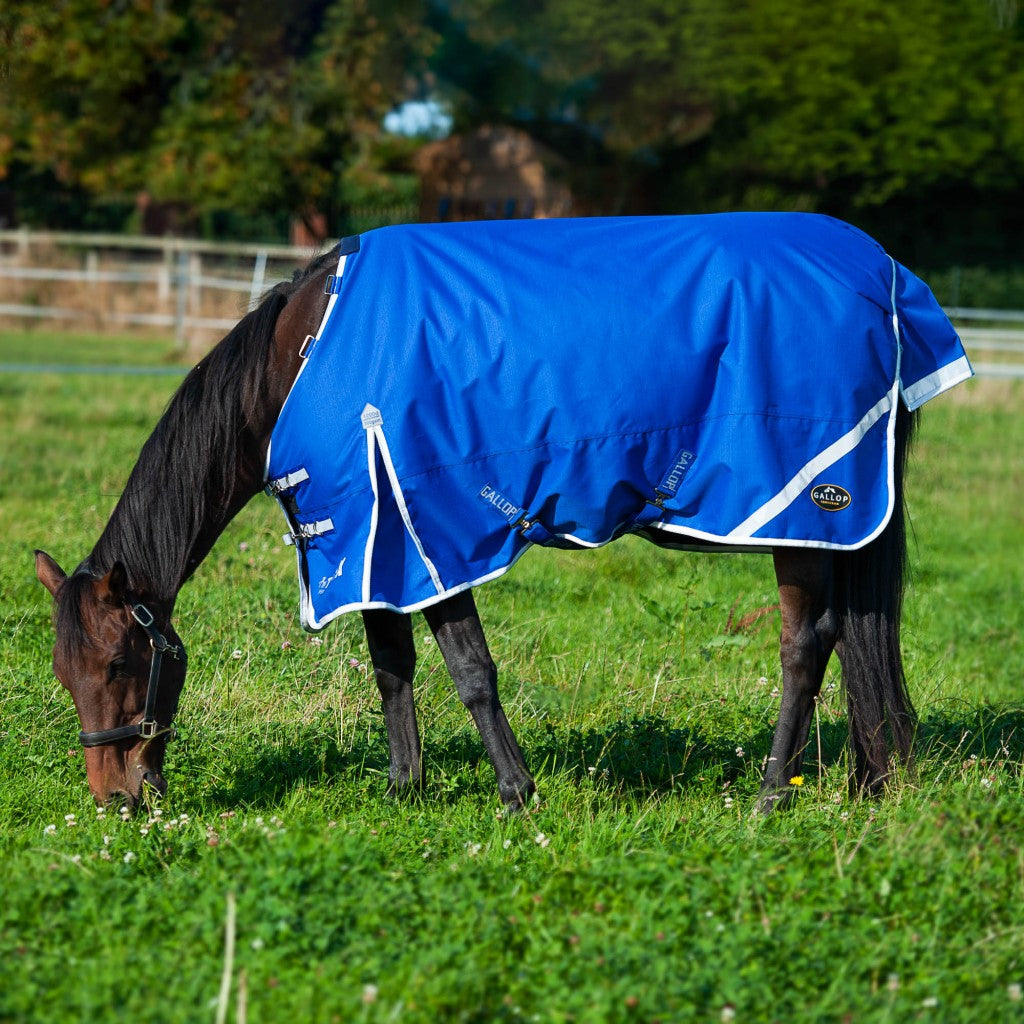 Trojan Xtra 300g Dual Turnout Rug and Neck Set
