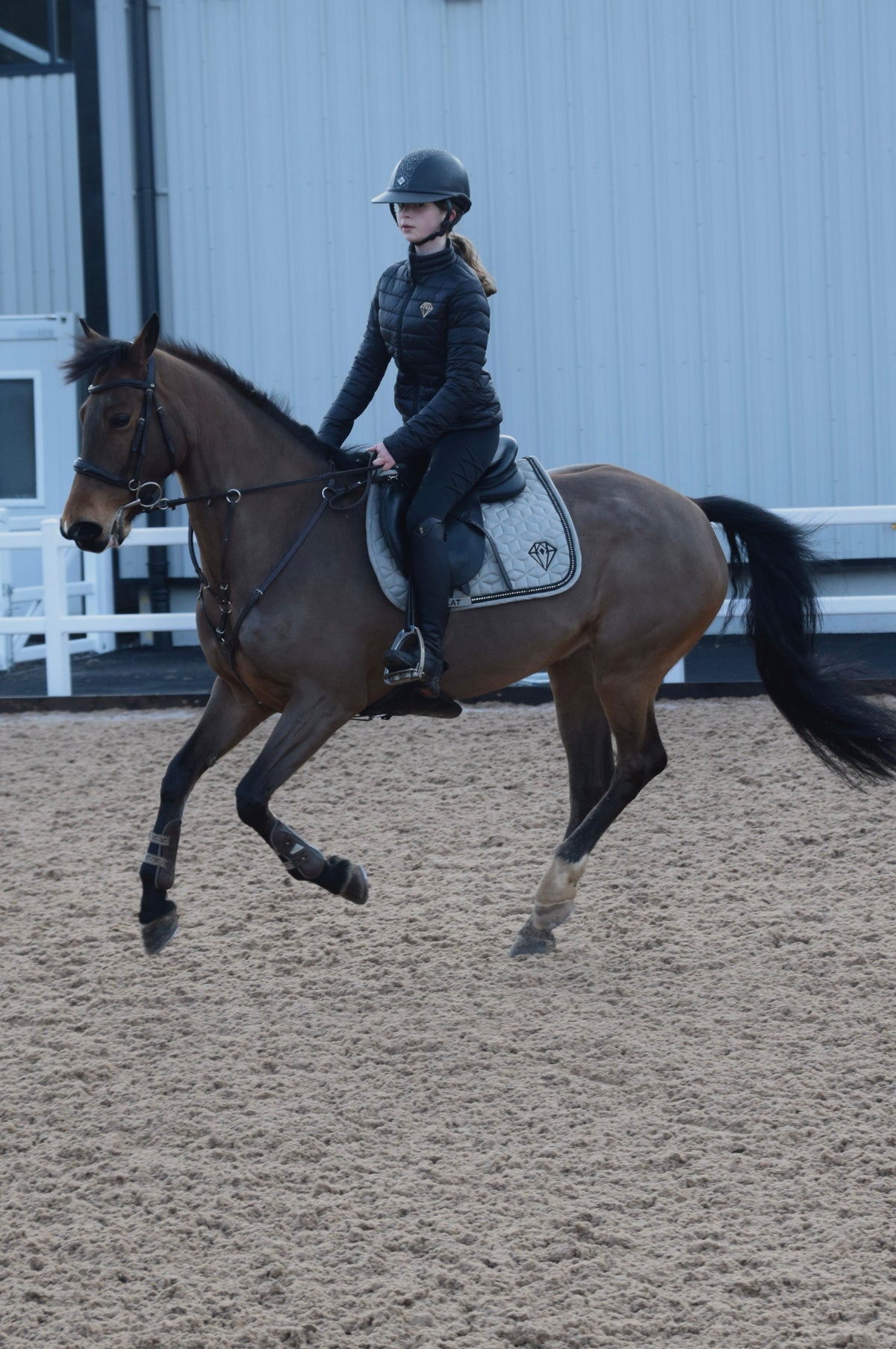 Contour Jacket (Black) - Eclat Equestrian Online