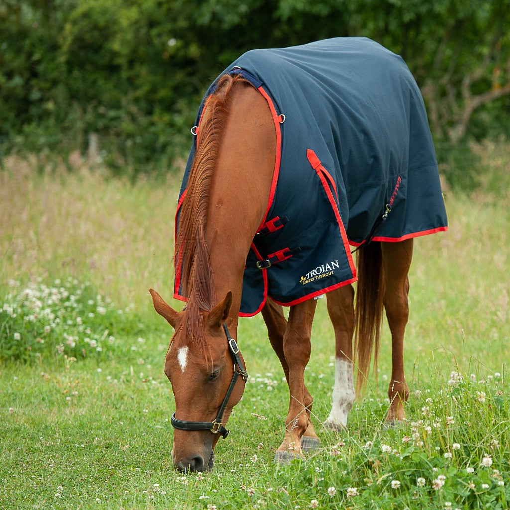 Trojan 200g Turnout Rug