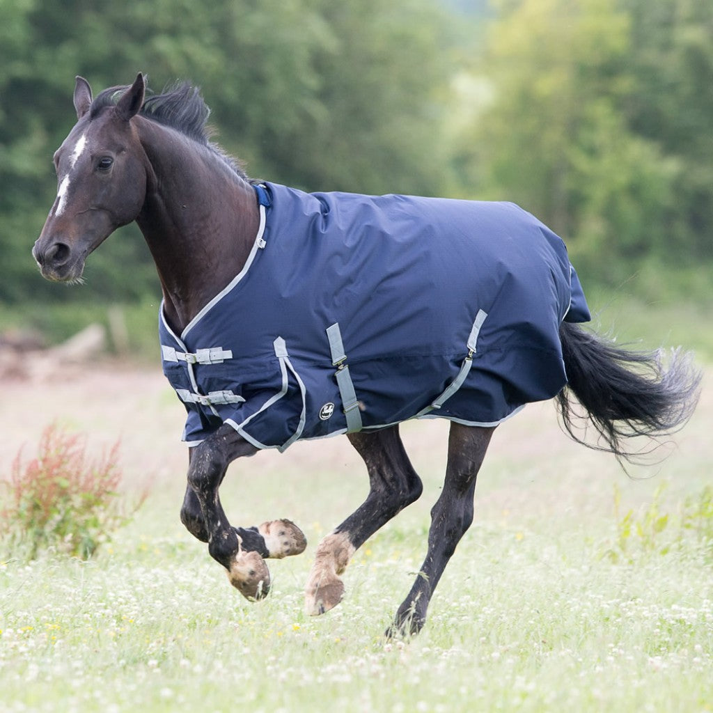Trojan 300g Turnout Rug
