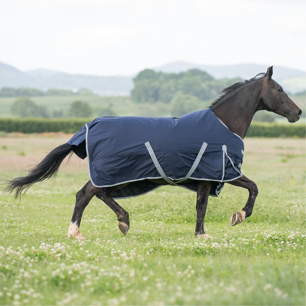 Trojan 300g Turnout Rug