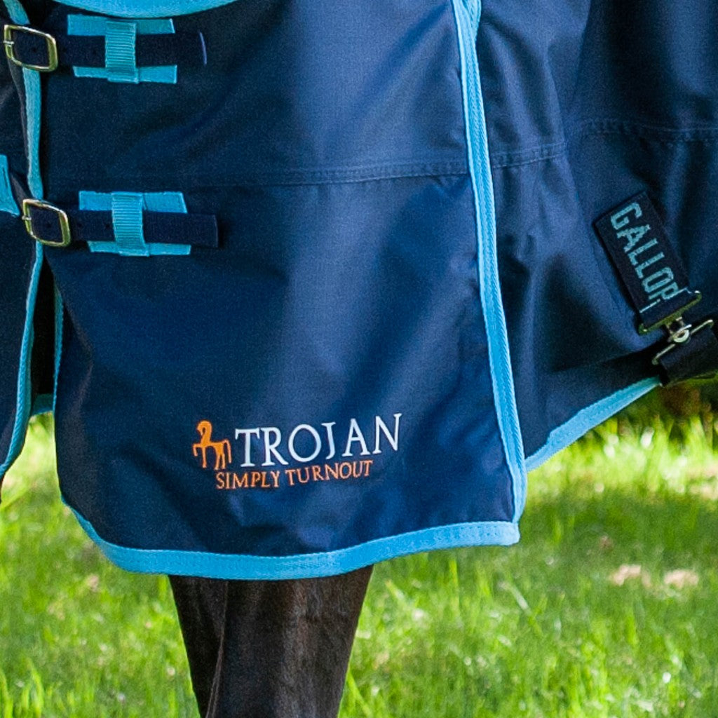 Trojan 350g Turnout Combo Rug