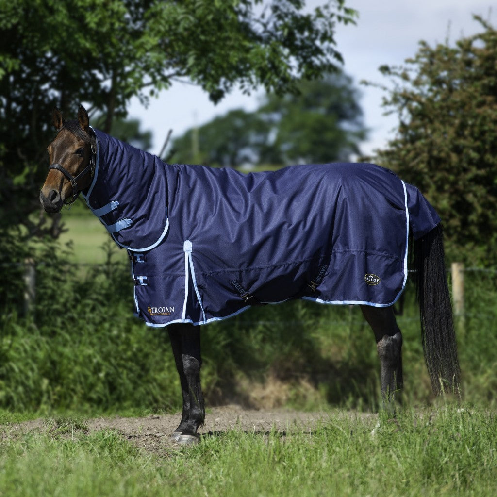 Trojan 350g Turnout Combo Rug