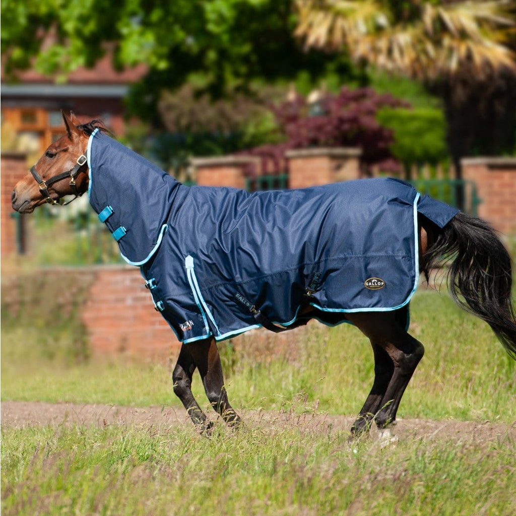 Trojan 350g Turnout Combo Rug