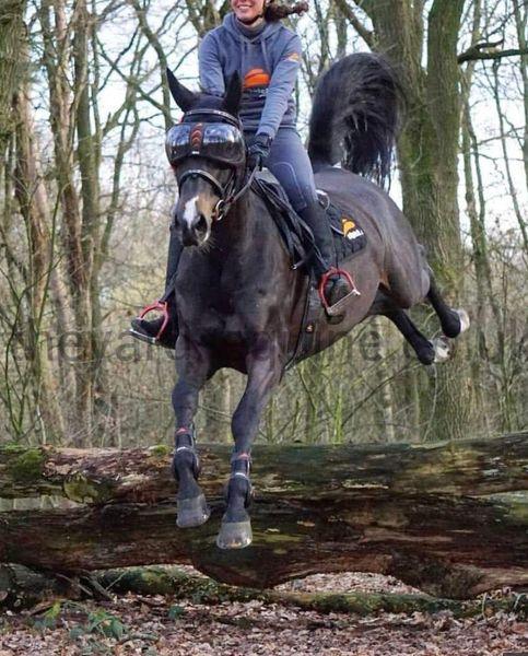 eQuick eVysor - Eclat Equestrian Online