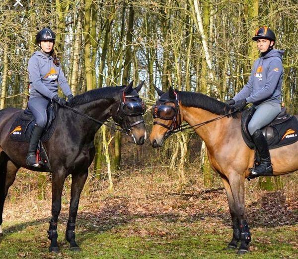 eQuick eVysor - Eclat Equestrian Online