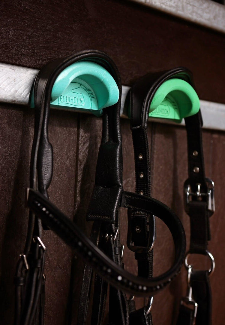 Stable Accessories - Eclat Equestrian Online