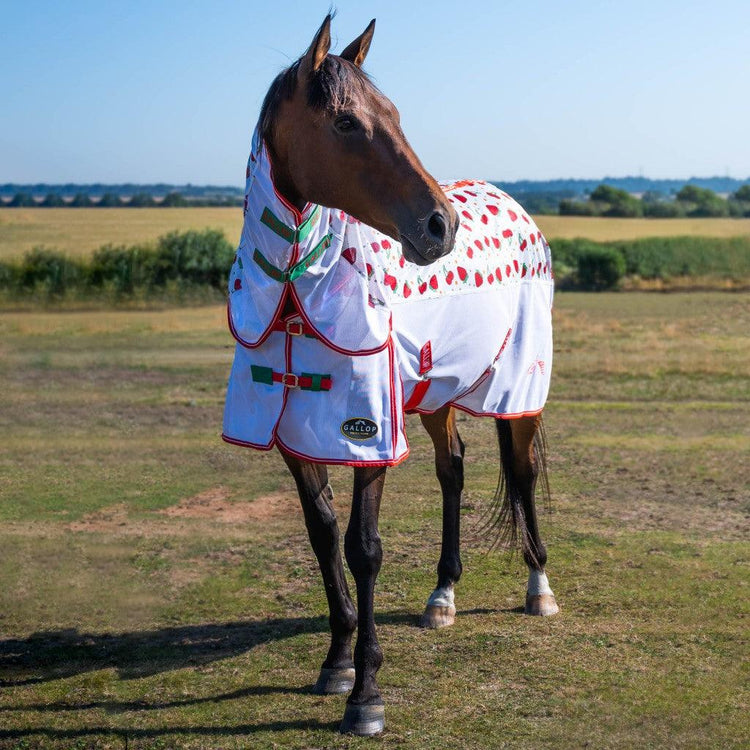 Rugs - Eclat Equestrian Online