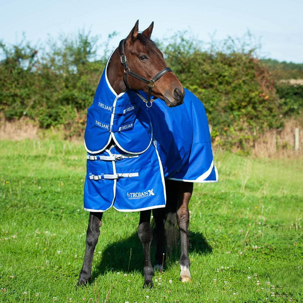 Trojan Xtra 300g Dual Turnout Rug and Neck Set