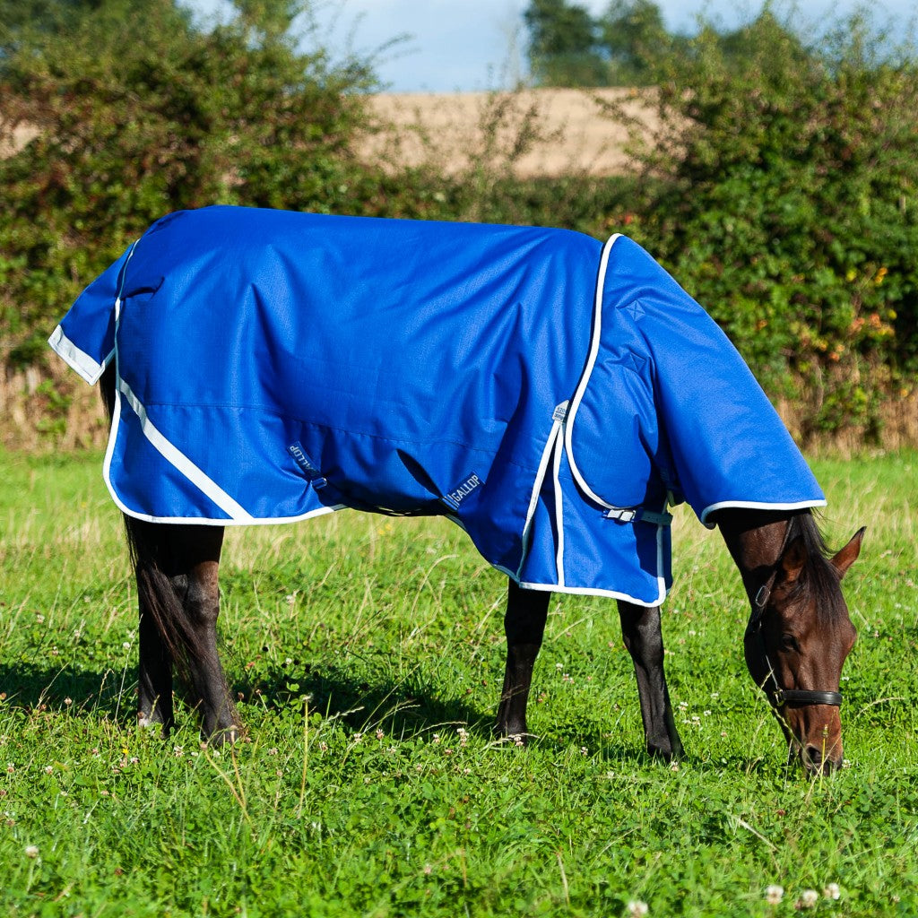 Trojan Xtra 300g Dual Turnout Rug and Neck Set