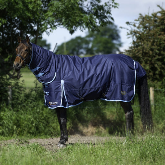 Trojan 350g Turnout Combo Rug