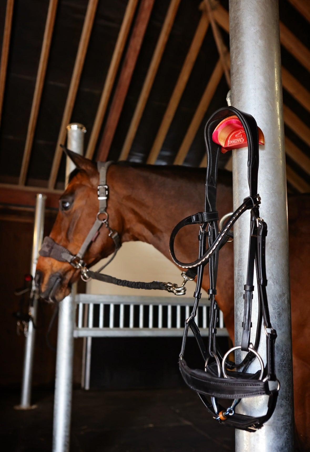 EquiHook - Eclat Equestrian Online