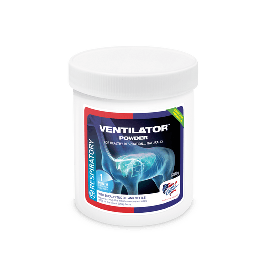 Ventilator - Eclat Equestrian Online