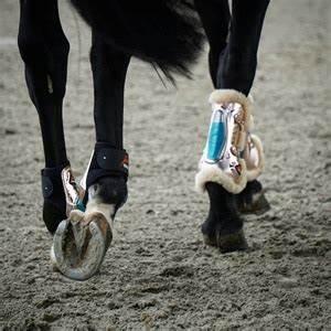 eShock Rear / Fetlock Boots by eQuick (Limited Edition Rose Gold) - Eclat Equestrian Online